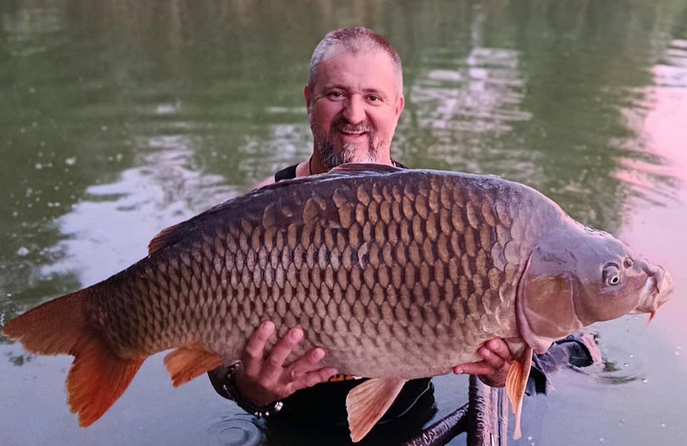 Paloš "HARPUNA" Toman